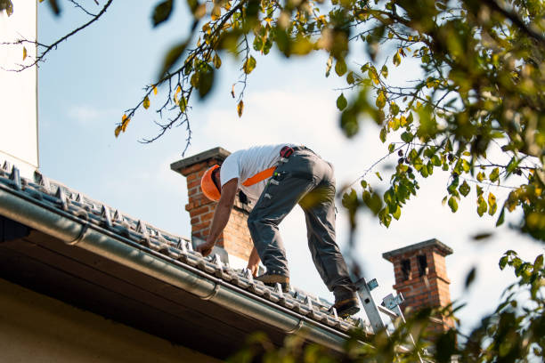 Best Metal Roofing Contractor  in Tyro, NC